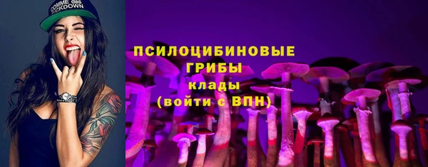 spice Магадан