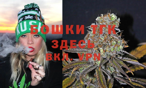 spice Магадан