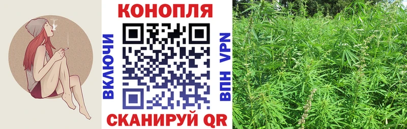 Каннабис конопля  Ленинск 